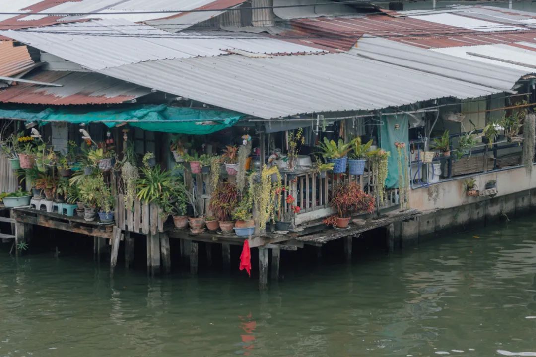 鍘绘嘲鍥芥浖璋峰拰鑺彁闆呯殑鏀荤暐,鍘绘嘲鍥界帺杞浖璋疯姯鎻愰泤
