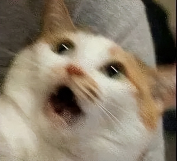 便血有没有可能是痔疮破了,便血是因为痔疮还是结肠有问题