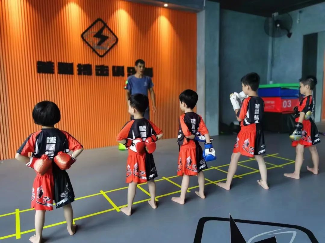 桂城南海体育馆篮球赛事,南海体育馆篮球馆