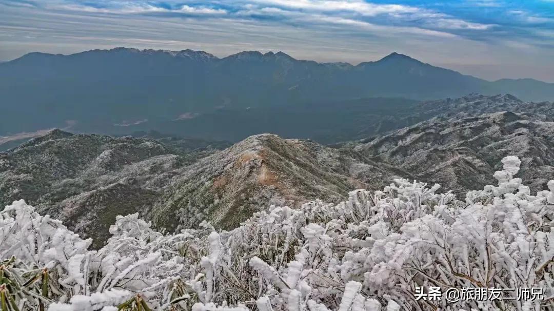 清远金子山旅游攻略看雾凇,广东金子山雪景旅游攻略