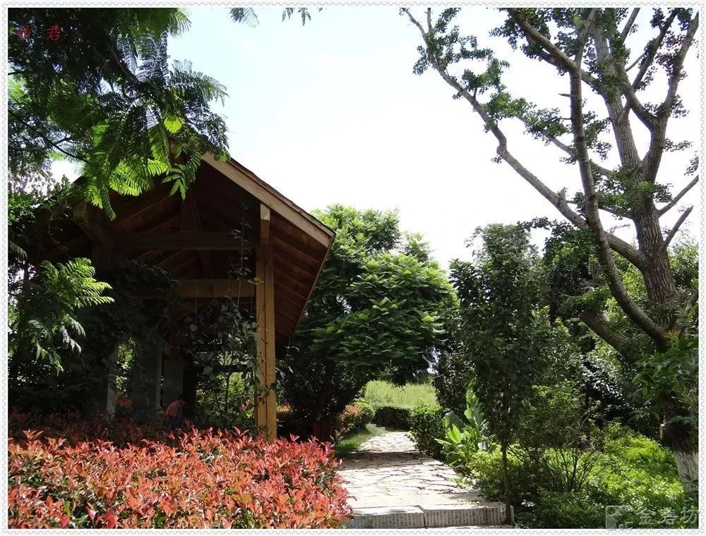 呈贡可以露营的公园,呈贡附近小众的露营地