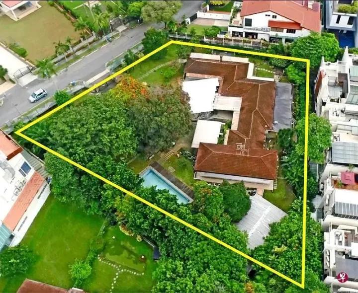 杭州男子傍上79岁新加坡富婆,年轻男子傍上新加坡富婆新闻