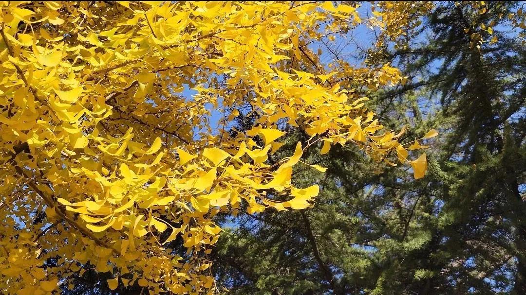 200条实用心理学小知识,实用200条心理学视频