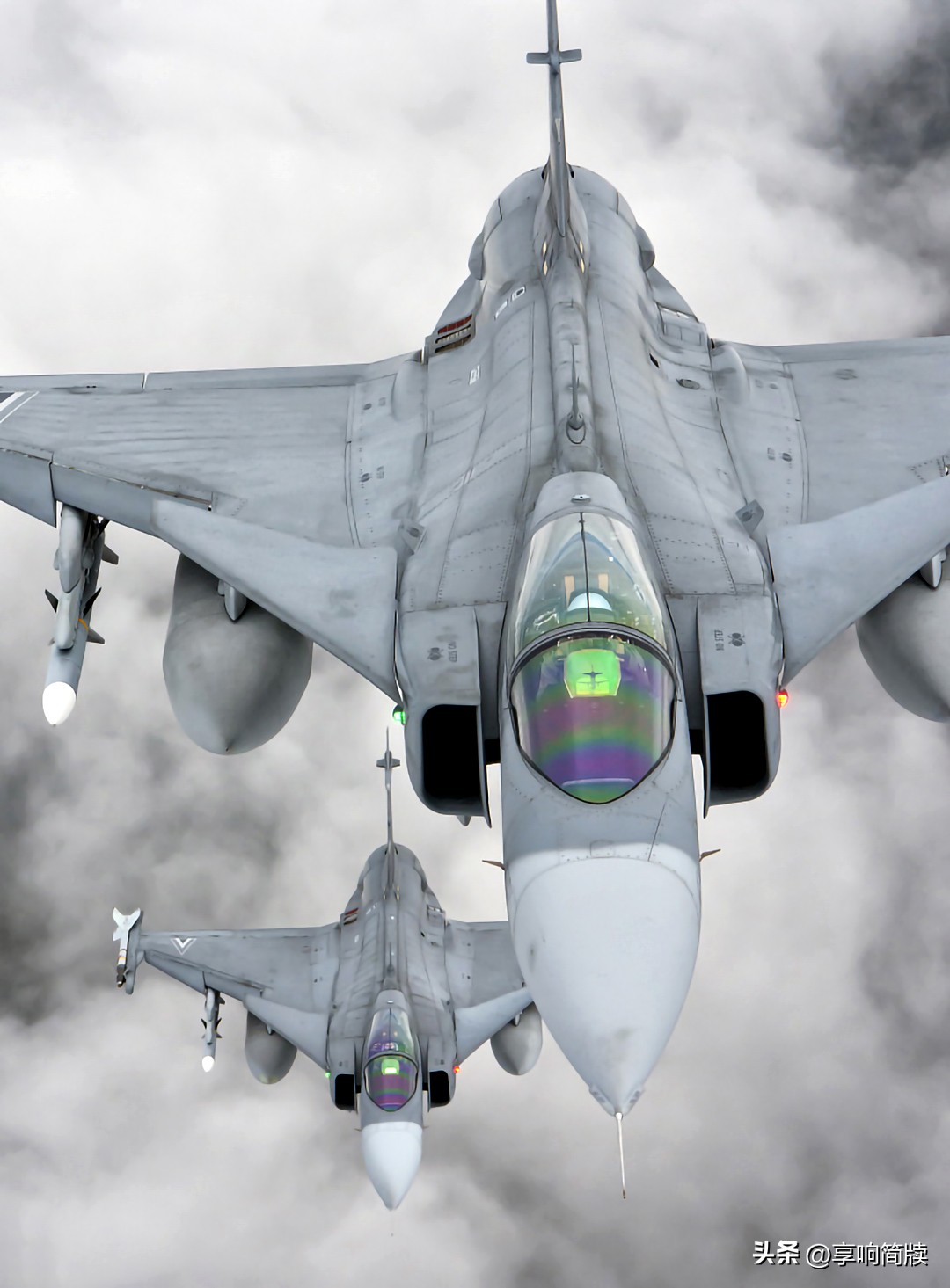 jas-39鹰狮战斗机,jas39鹰狮战斗机外贸版