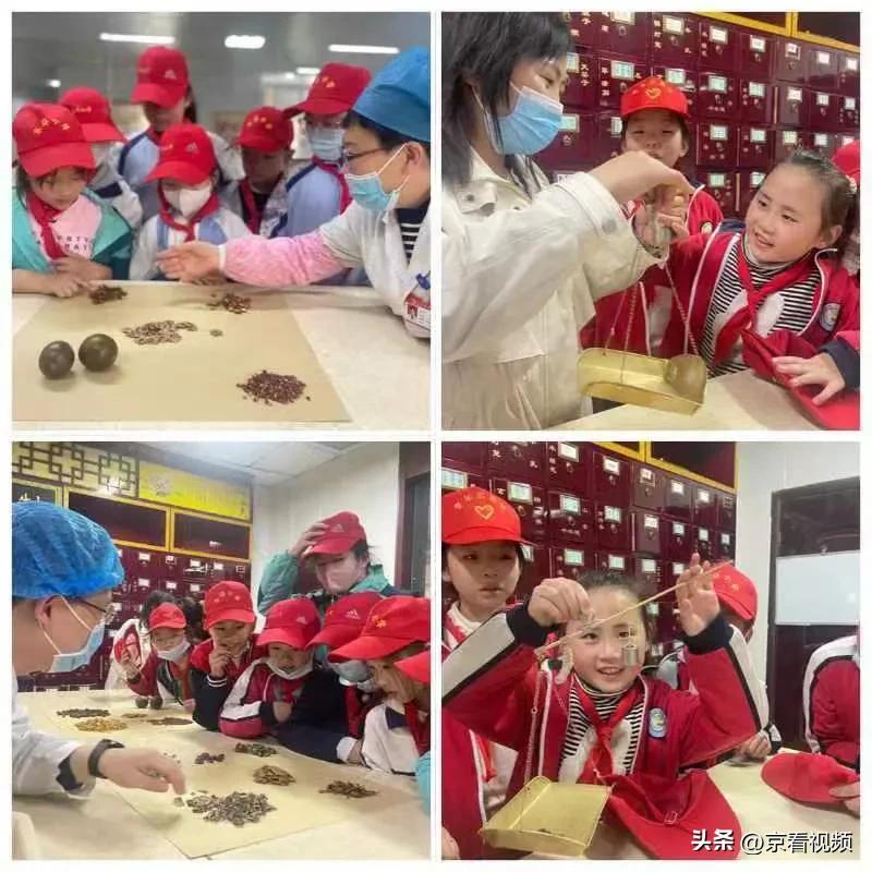 承百草精华传中医文化——东环小学游学焦作市中医院活动