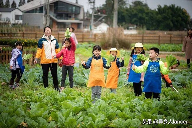 家庭农场：是否能成为乡村致富的新风口？