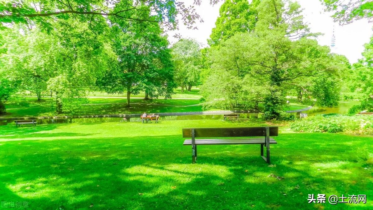 林权证抵押个人合法吗,林权证可以抵押