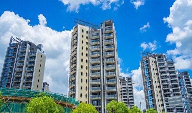 合肥1000户以上的小区房价排行榜,合肥滨湖房价排名前十