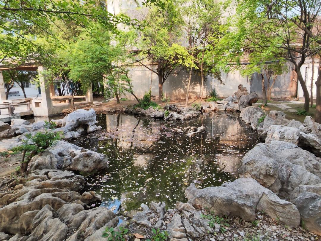 徐州欣欣中学初中部怎么样,徐州市欣欣中学