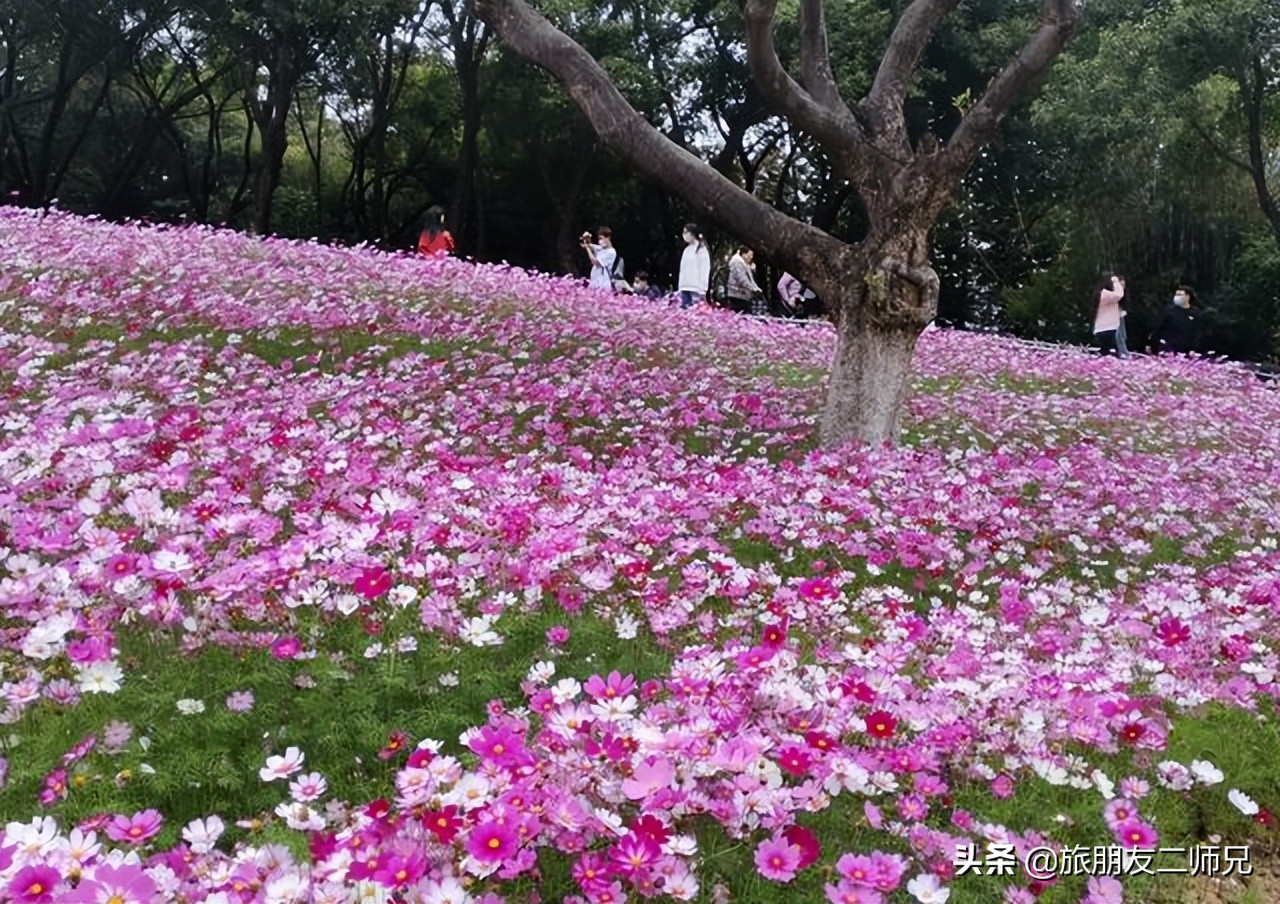 广州去西藏沿途景点攻略,东莞出发5天自由行攻略