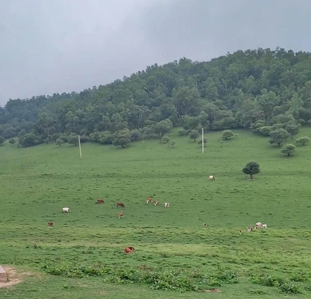 关山牧场旅游攻略厦门,关山牧场旅游攻略现在有门票吗