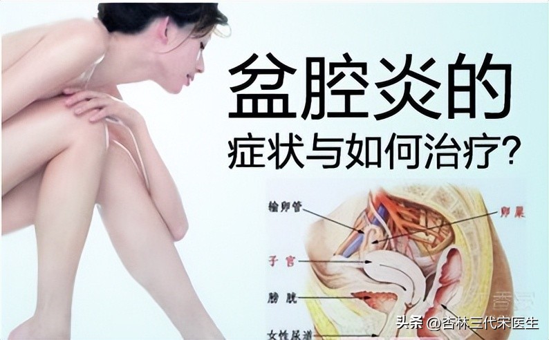 名老中医张琼林创制的红藤六妙饮,张琼林临证碎金录