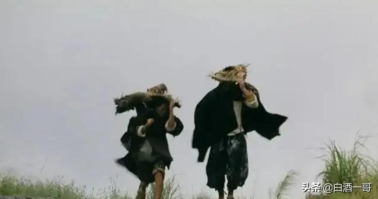 河北最出名的酒衡水老白干,衡水老白干最好喝的几款酒