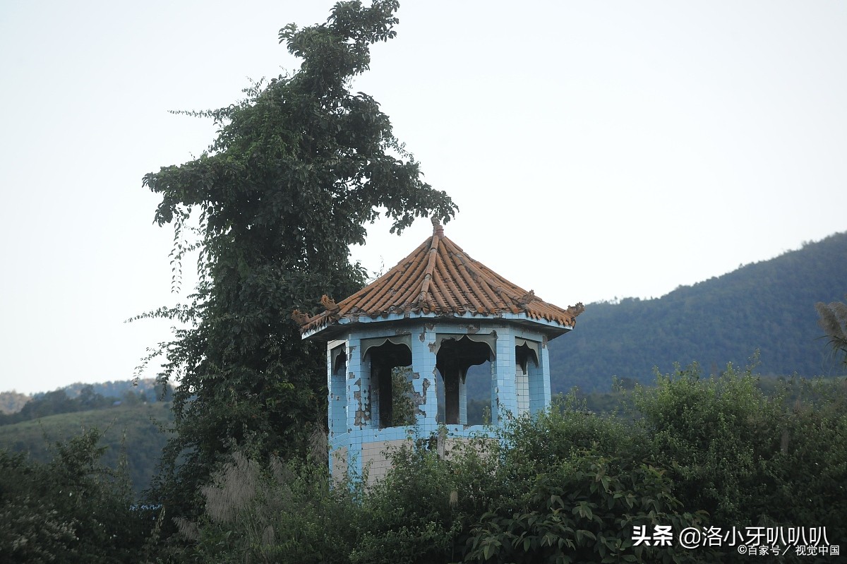 爆火网络备受争议的五大缅北网红，李赛高实锤疑乌龙？