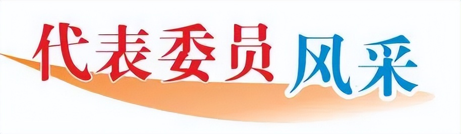 代表委员聚焦打造数字经济新优势,代表委员凝心聚力谋发展