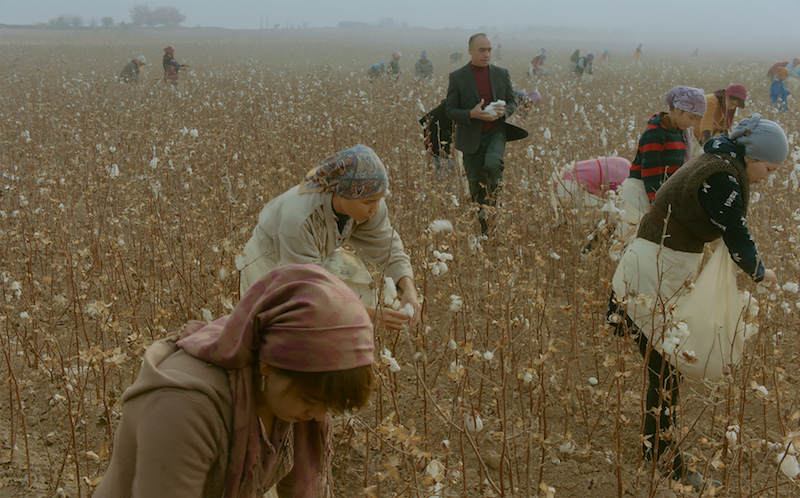 试述中亚种植棉花的有利条件 (19世纪初期哪个国家对棉花有需求)