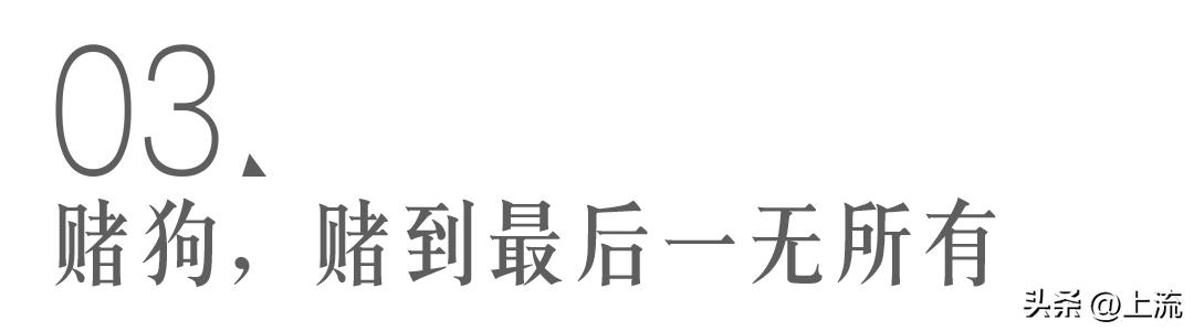 世界杯算命先生预测,世界杯竞彩分析大师