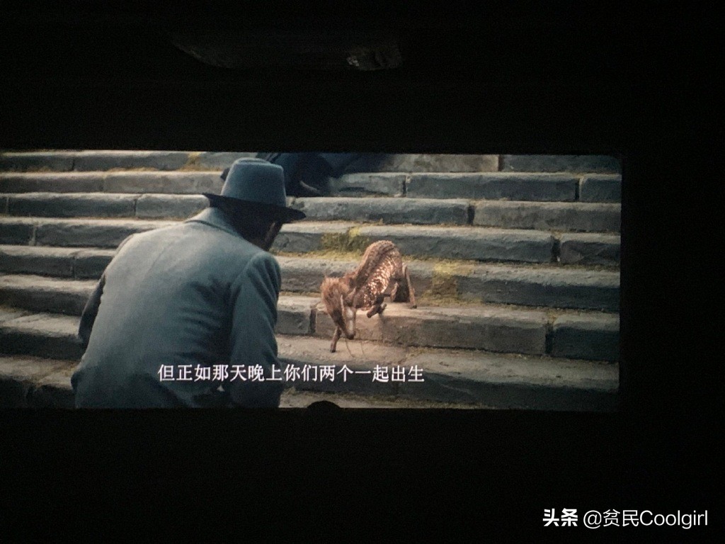 神奇动物之邓布利多之谜免费观看,神奇动物邓布利多之谜彩蛋