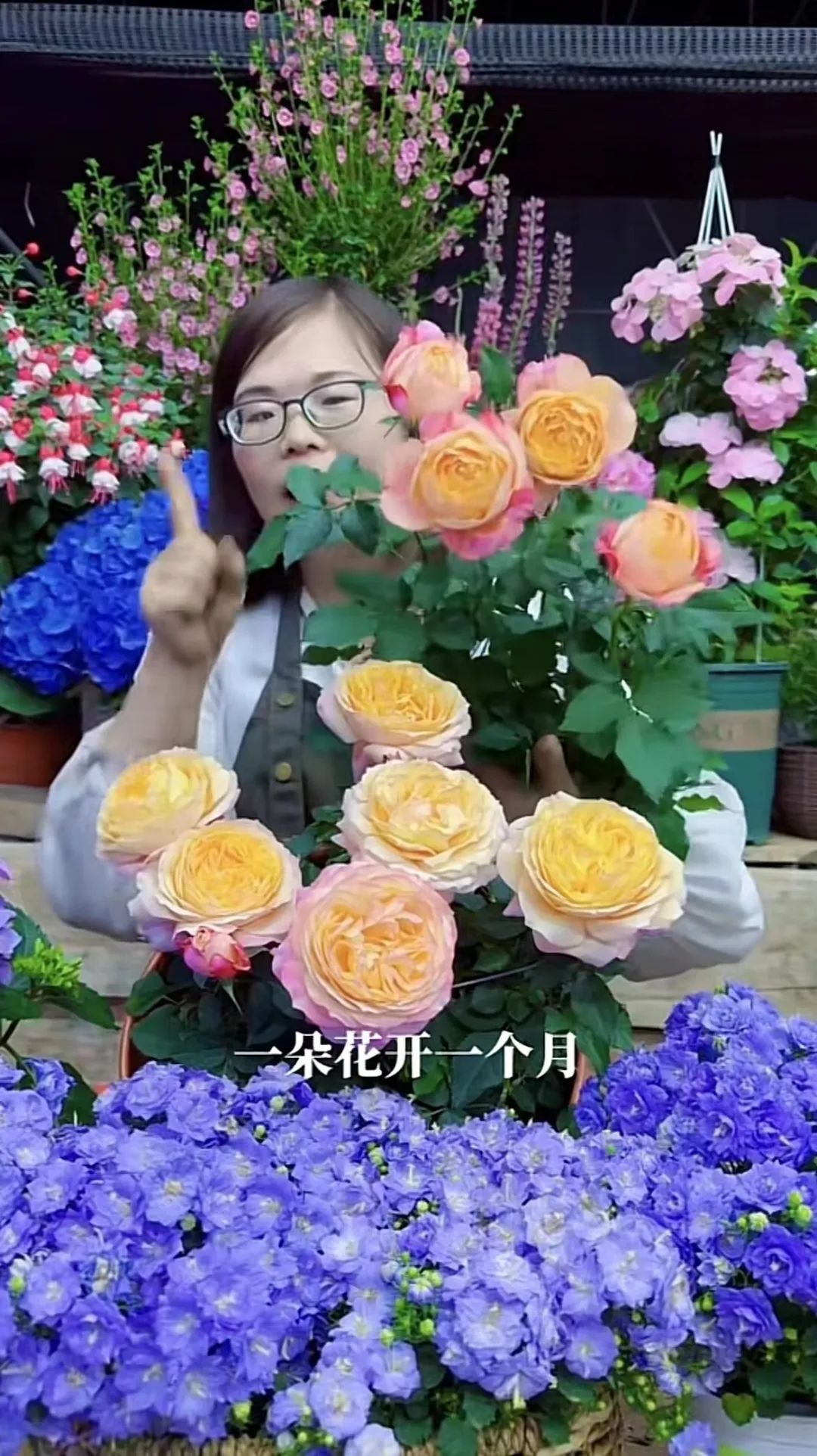 抖音卖鲜花一个月能赚多少钱,抖音上卖鲜花如何运营