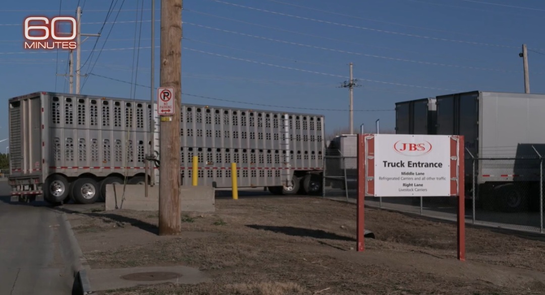 美国的工厂童工,媒体曝光美国800多家公司童工问题