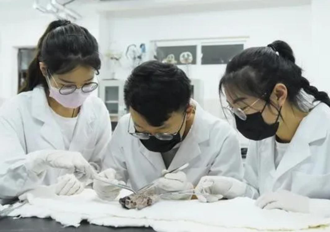 医学部护理专业排名,医学护理热门专业