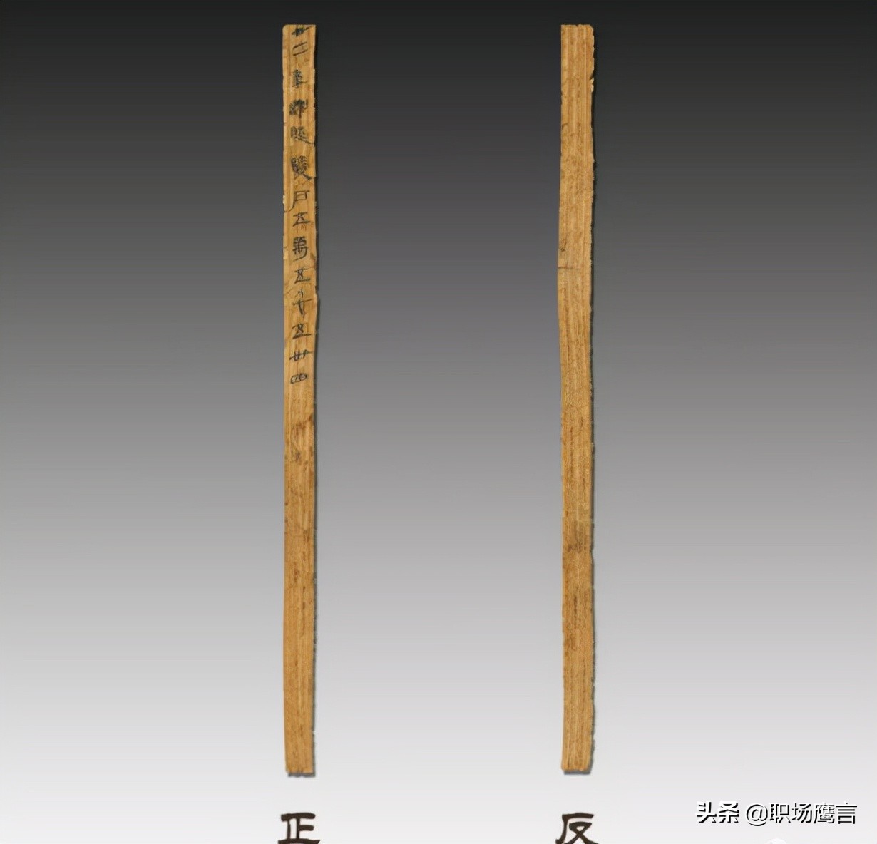 参观秦始皇兵马俑后感,参观兵马俑让1000多名游客震惊