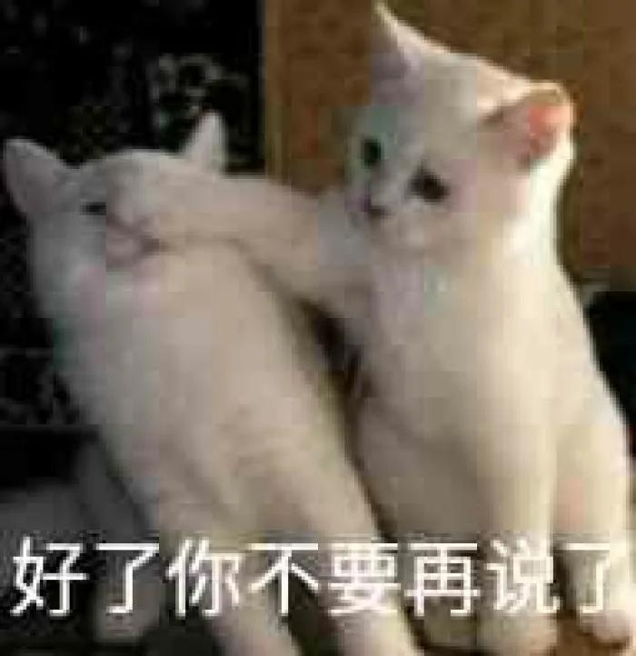 如果想要好孕需要注意哪些细节呢,想要好孕这些问题千万得注意