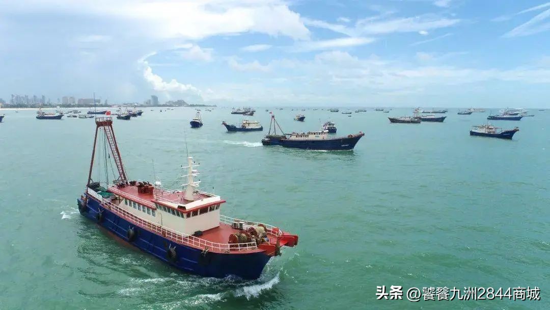 哪个城市海鲜又便宜又好吃,中国海鲜美食之都是哪个城市