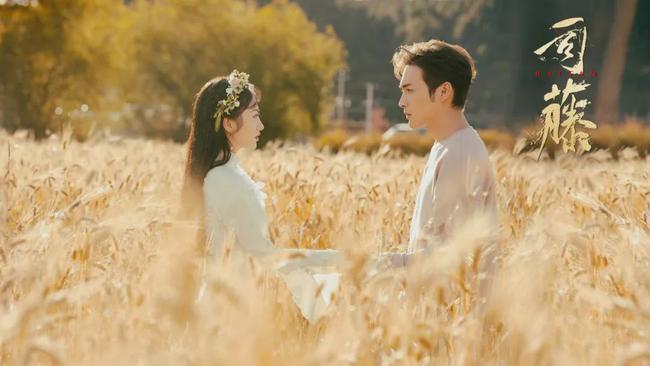 流量与演技不共存,戏骨云集收视率