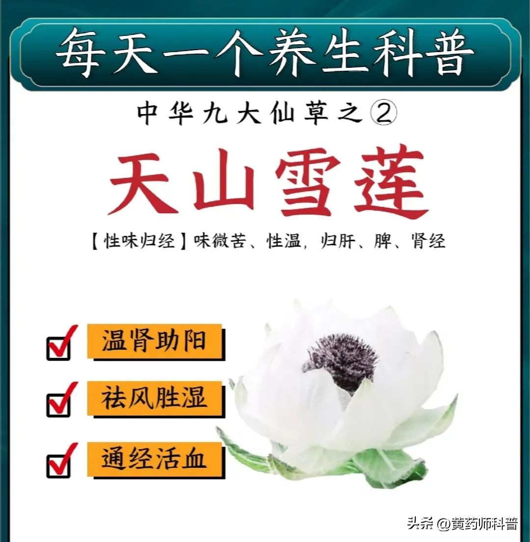 九大仙草哪个药用价值最高,中草药鬼针草的药用价值