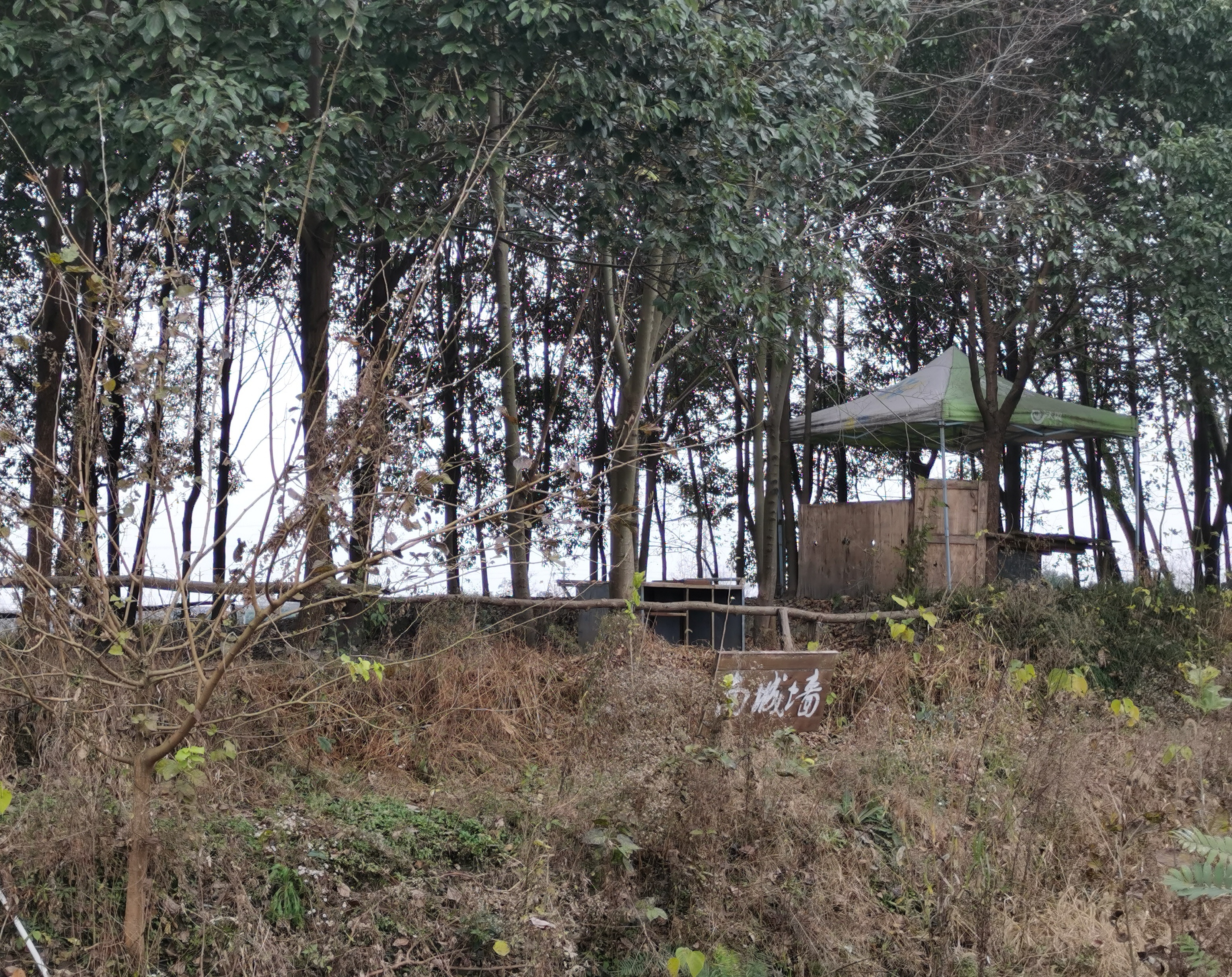 郫县古城遗址游玩攻略,成都之行圆满结束