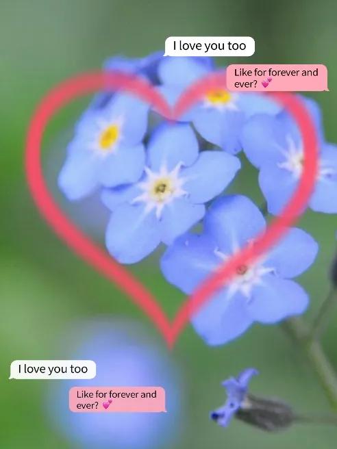 网络情人节520还是世界陌生人节,又是一年一度的520情人节