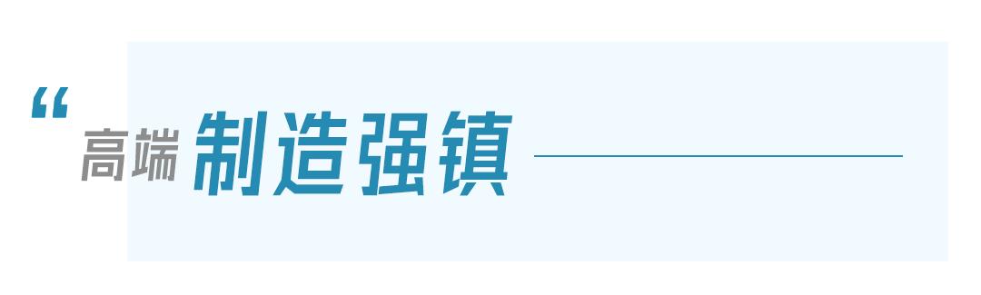 鄂州泽林镇新闻,鄂州泽林镇最新规划