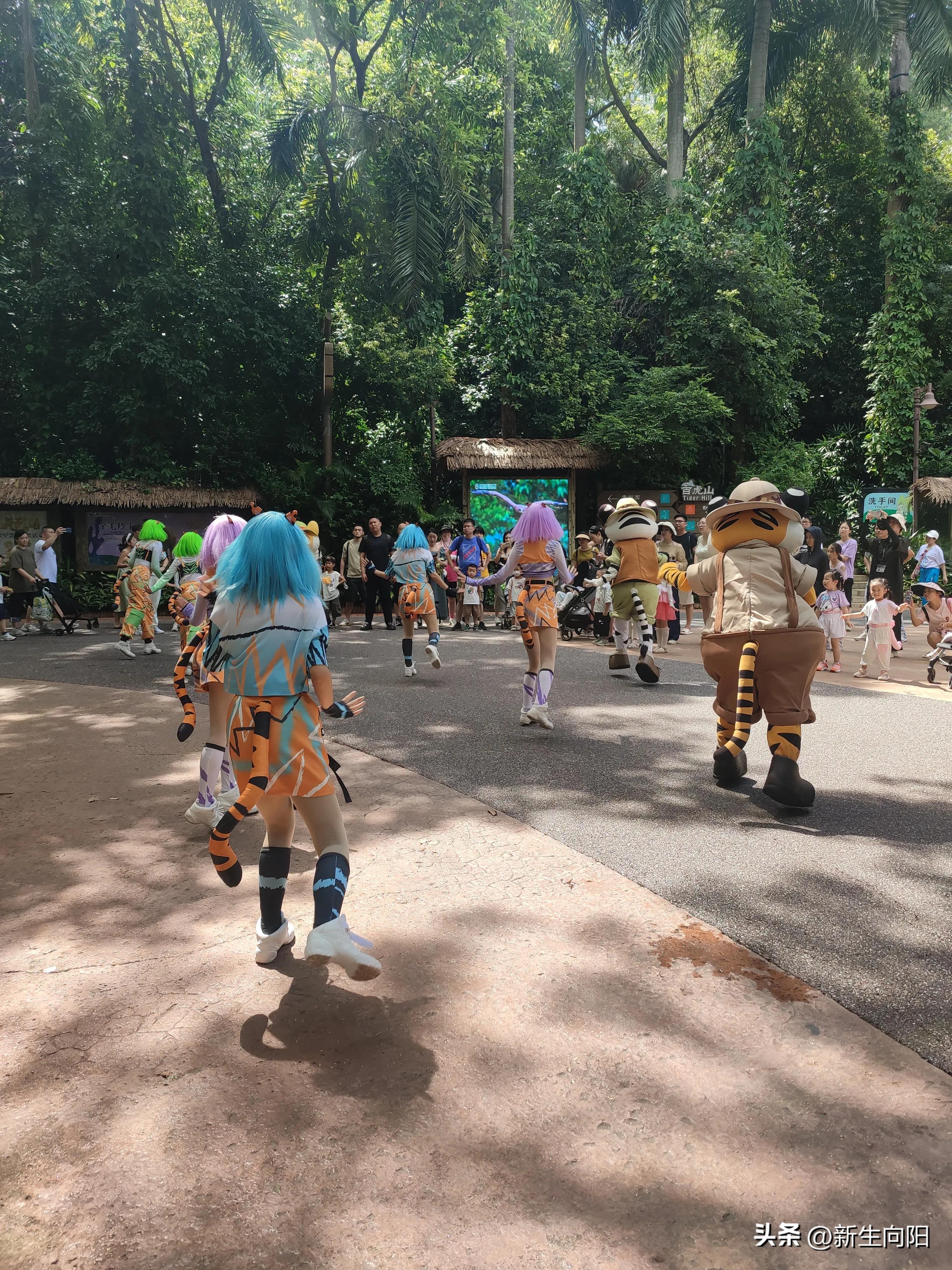 长隆野生动物园两大一小,长隆野生动物园一家三口