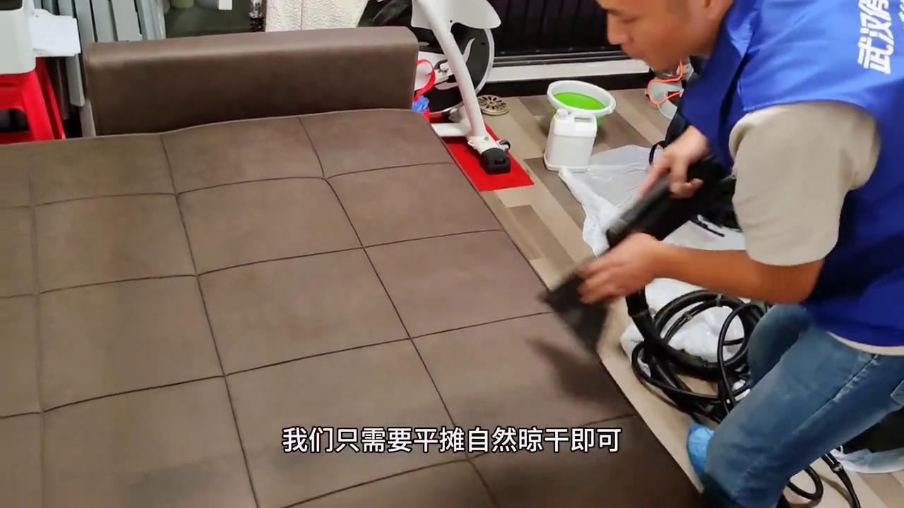沙发被猫尿了怎么处理干净西安,家里被猫尿了怎么处理