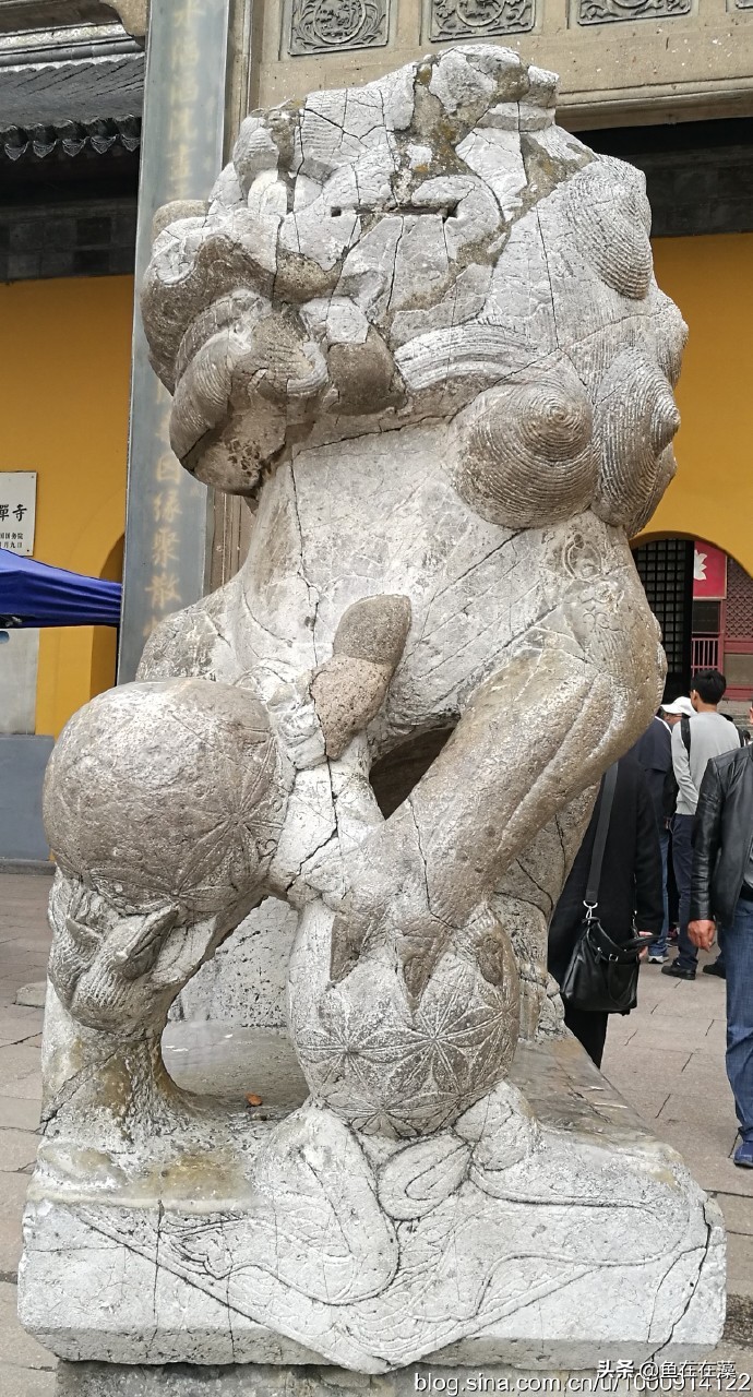 50、问道镇江之曾经的“江南诸胜之最”金山——春天里游江南