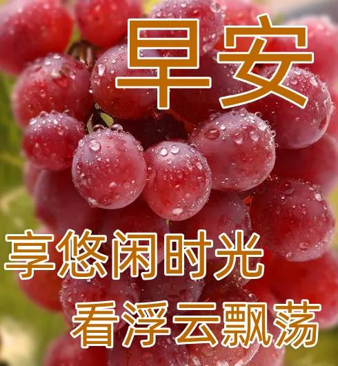 周末早安最漂亮问候图片带字,周三早安正能量图片带字