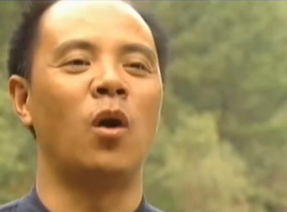 小伙捡到一块长满“金子”的石头,男子散步捡到会发光的石头给20万