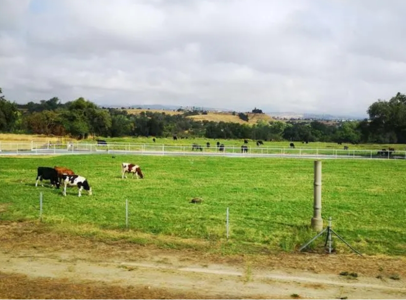 农村哪三件生意严查,农村开展大整治三种生意不能做