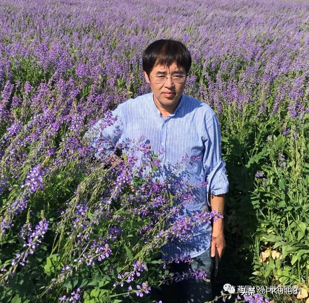 俄罗斯8天跟团游记,俄罗斯跟团旅游游记