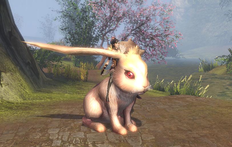 猛将ol单机版,猛将ol游戏视频