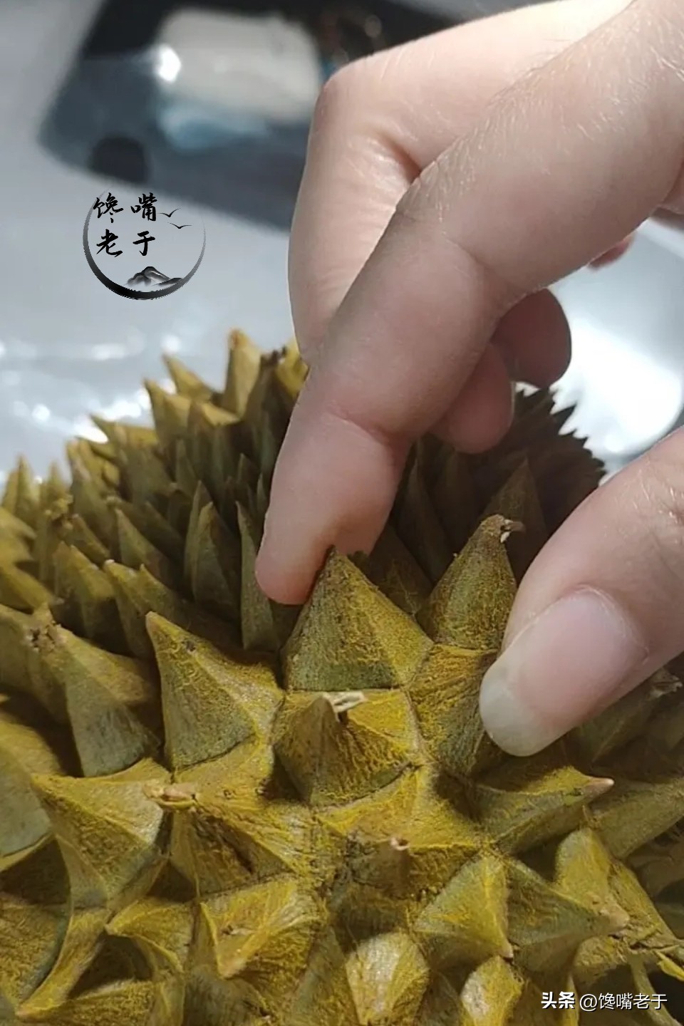 买榴莲是买轻点的还是重点的,买榴莲时老板直呼内行