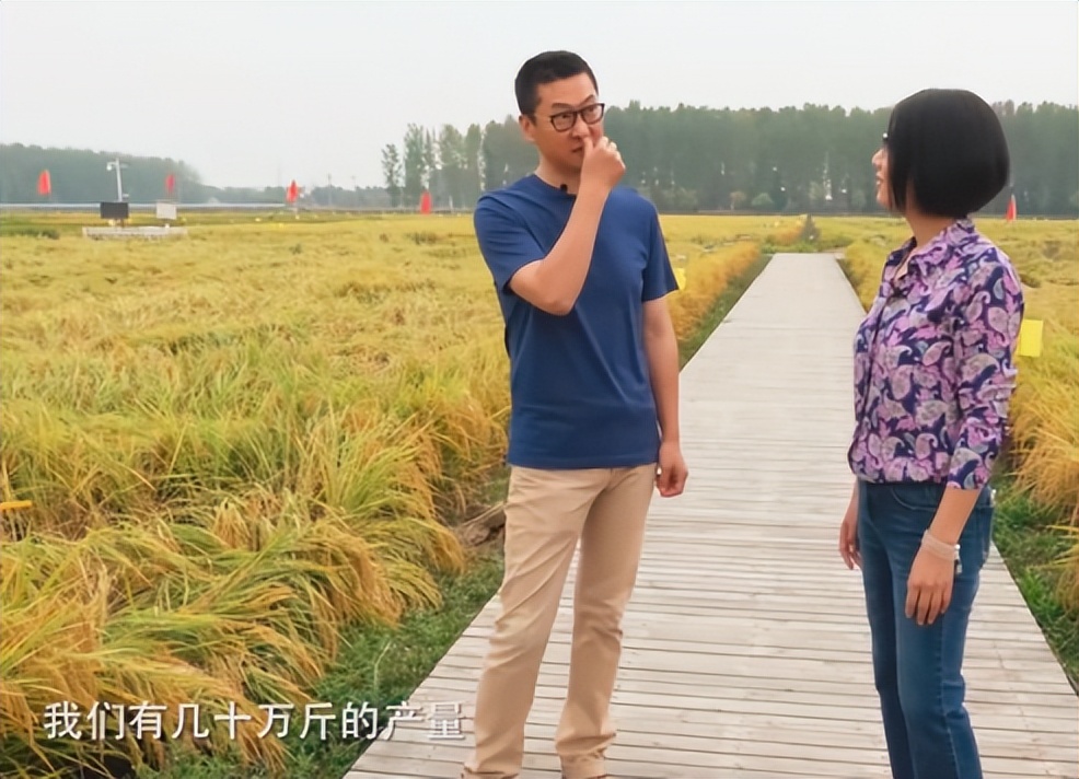 林心如给霍建华花了三亿买条项链,林心如说霍建华开豪车