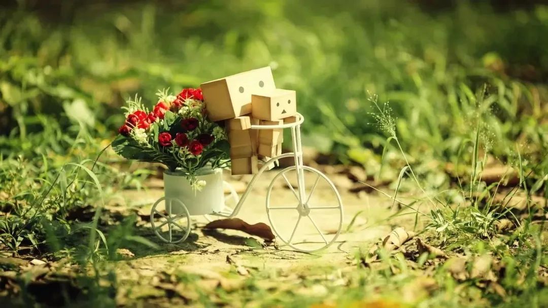 蕲春非遗特产,蕲春非遗文化