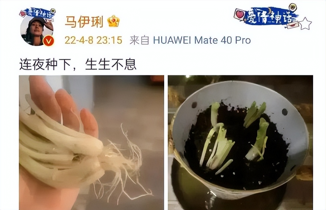 新手在上海送快递一个月挣多少,送快递一个月赚了十万