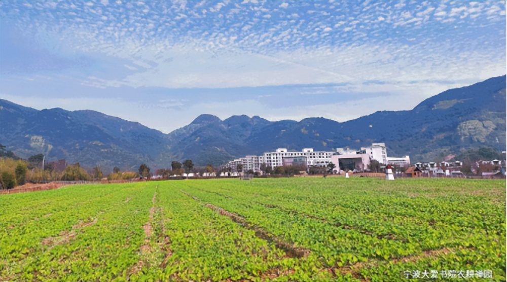 “喜我菜甲长”，住在这里，苏轼都羡慕