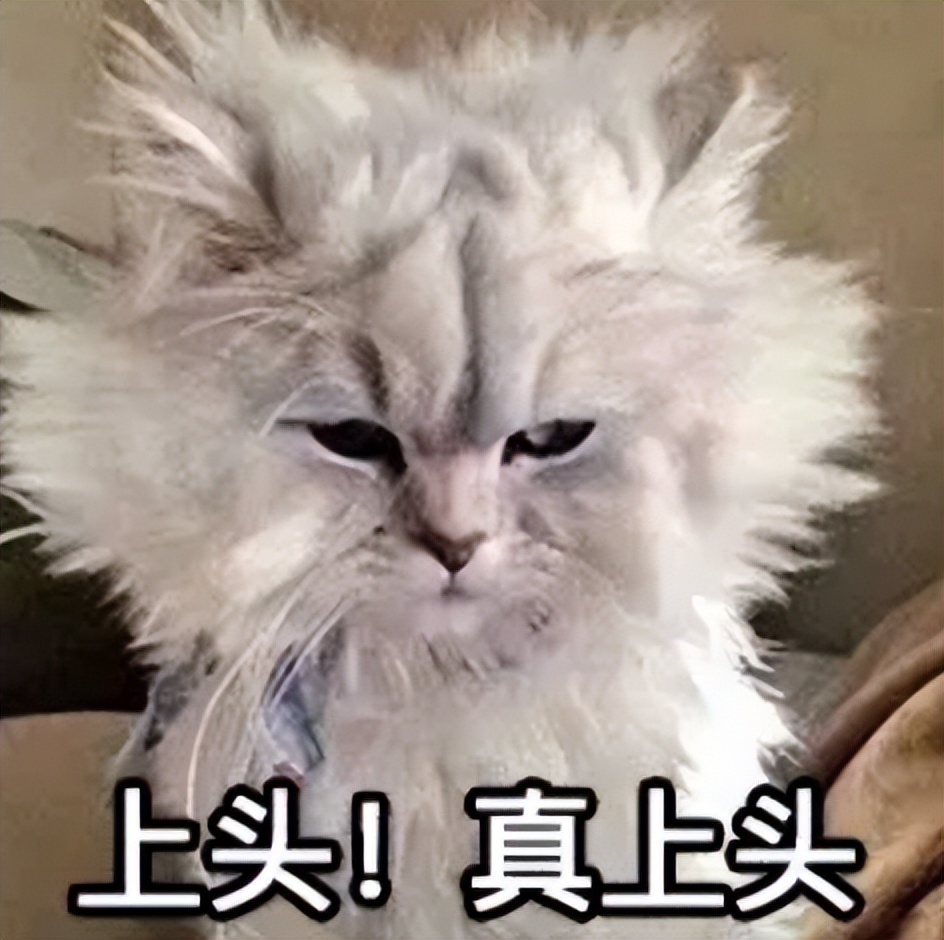 贵阳版“挖呀挖呀挖”来了～