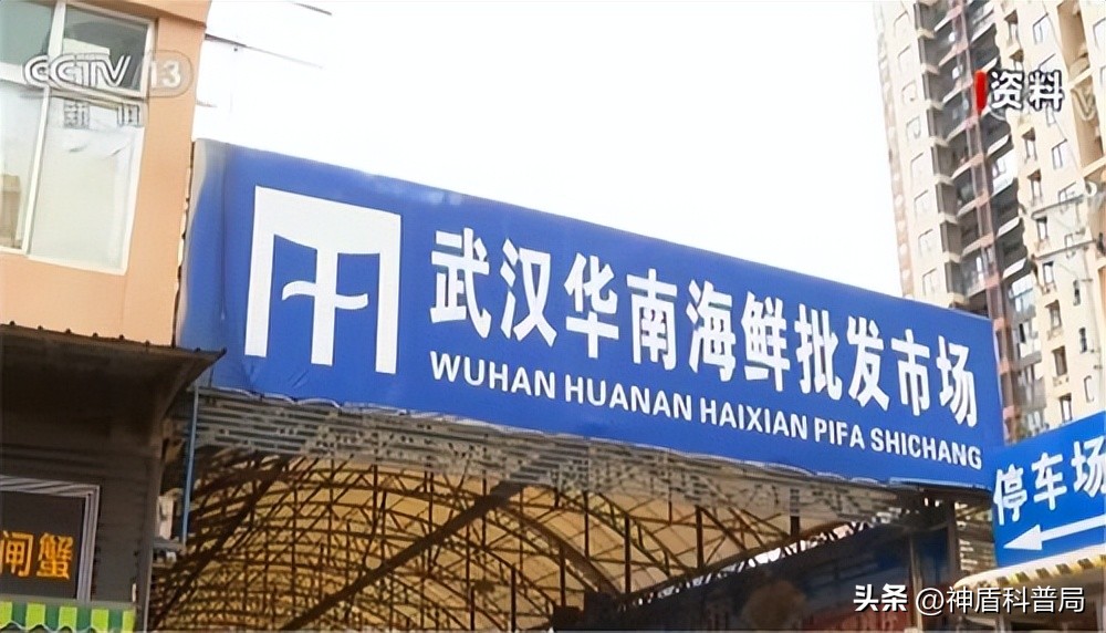 假如全球爆发新冠病毒,假如全国疫情结束会发生什么