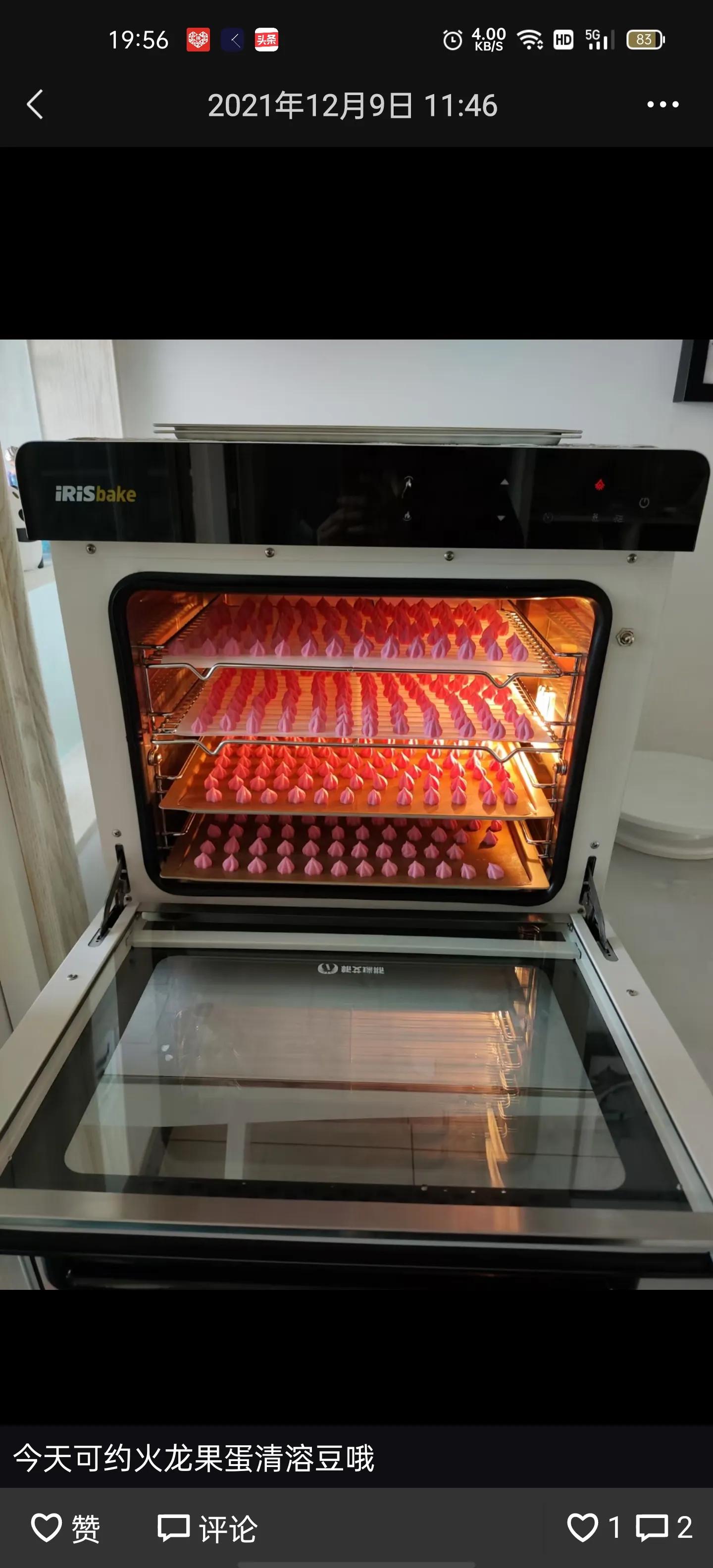 私房烤箱推荐大容量,私房烘焙用什么烤箱