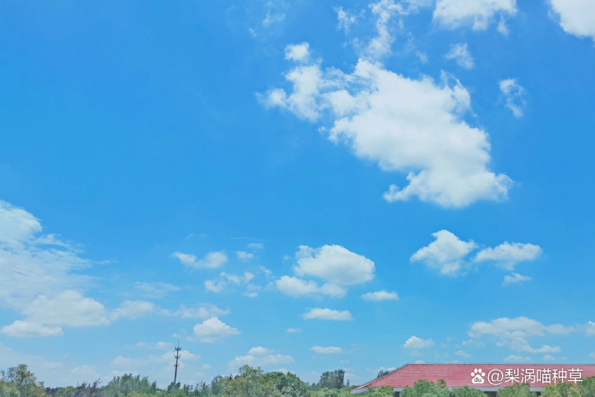 厦门混油皮控油补水护肤品推荐,油皮混油皮看过来